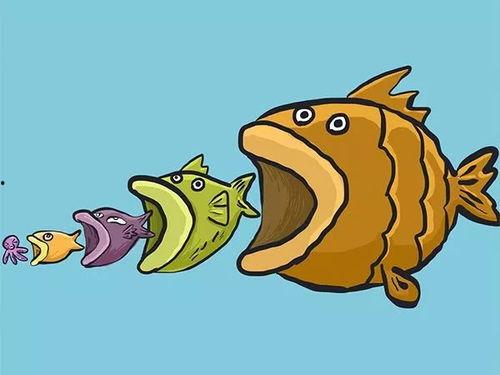 娱乐吃瓜酱可爱小鱼